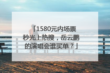 1580元内场票秒光上热搜，岳云鹏的演唱会谁买单？