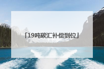 19吨碳汇补偿到位