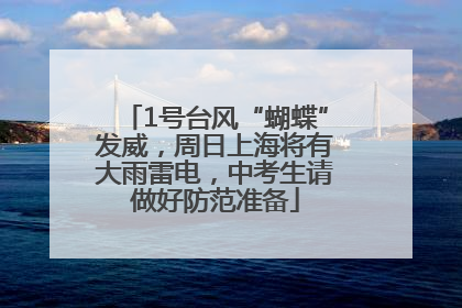 1号台风“蝴蝶”发威，周日上海将有大雨雷电，中考生请做好防范准备