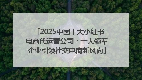 2025中国十大小红书电商代运营公司：十大领军企业引领社交电商新风向