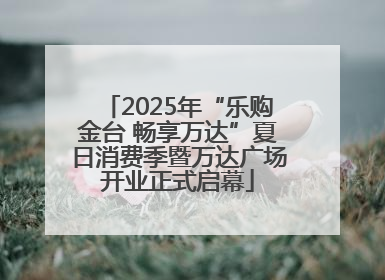 2025年“乐购金台 畅享万达”夏日消费季暨万达广场开业正式启幕