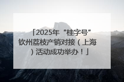 2025年“桂字号”钦州荔枝产销对接（上海）活动成功举办！