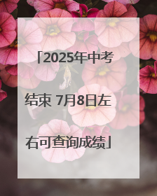 2025年中考结束 7月8日左右可查询成绩