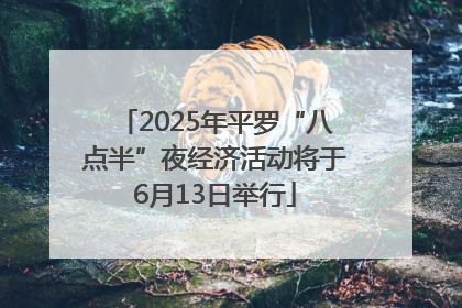 2025年平罗“八点半”夜经济活动将于6月13日举行