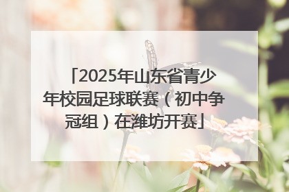 2025年山东省青少年校园足球联赛（初中争冠组）在潍坊开赛