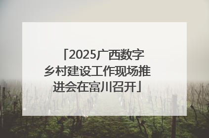 2025广西数字乡村建设工作现场推进会在富川召开