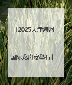 2025天津海河国际龙舟赛举行