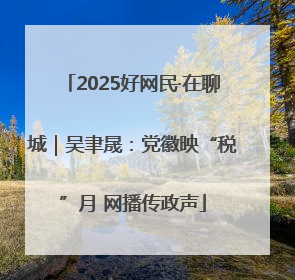 2025好网民·在聊城｜吴聿晟：党徽映“税”月 网播传政声