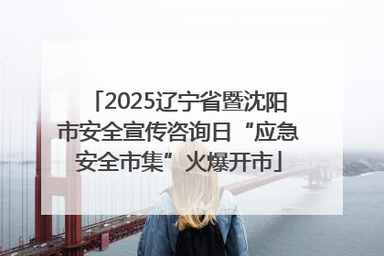 2025辽宁省暨沈阳市安全宣传咨询日“应急安全市集”火爆开市
