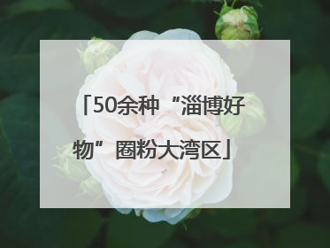50余种“淄博好物”圈粉大湾区