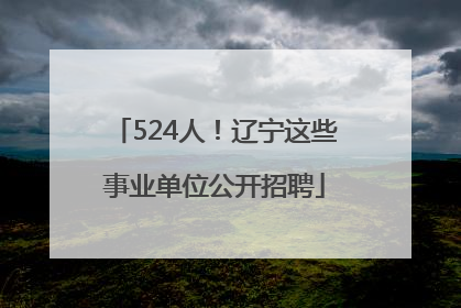 524人！辽宁这些事业单位公开招聘