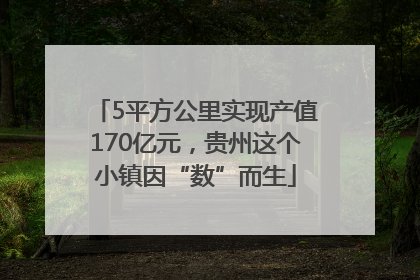 5平方公里实现产值170亿元，贵州这个小镇因“数”而生