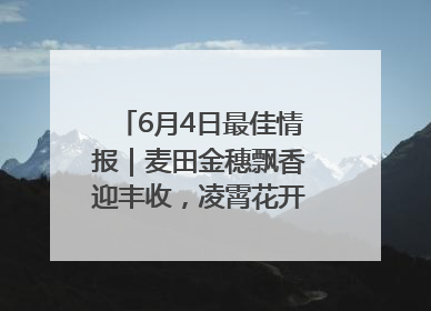 6月4日最佳情报｜麦田金穗飘香迎丰收，凌霄花开娇艳多姿！恭喜