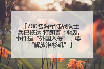 700名海军陆战队士兵已抵达 特朗普：骚乱事件是“外国入侵”，要“解放洛杉矶”