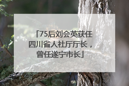 75后刘会英获任四川省人社厅厅长，曾任遂宁市长