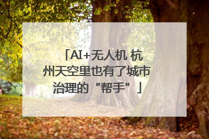 AI+无人机 杭州天空里也有了城市治理的“帮手”