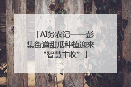 AI务农记——彭集街道甜瓜种植迎来“智慧丰收”
