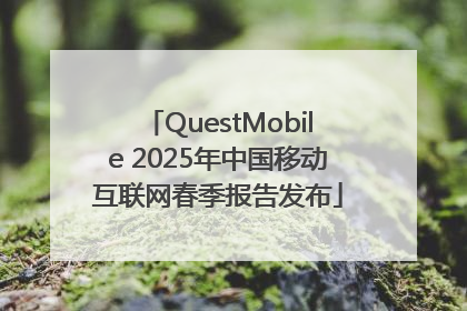 QuestMobile 2025年中国移动互联网春季报告发布