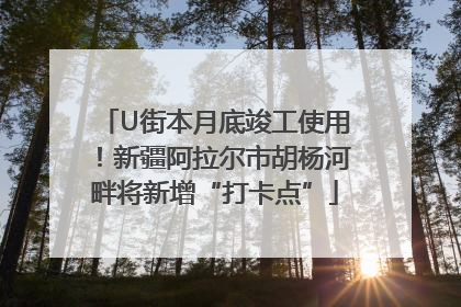 U街本月底竣工使用！新疆阿拉尔市胡杨河畔将新增“打卡点”